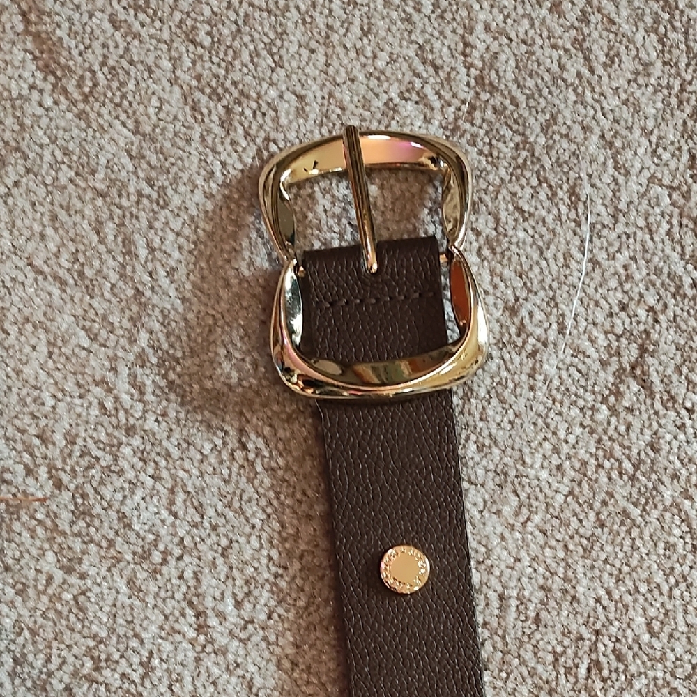 Gold Buckle Brown Leather Belt